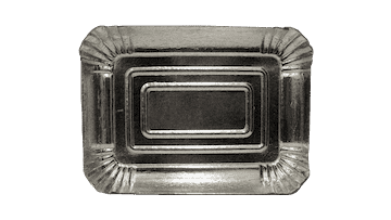 Silver Rectangular Dishes